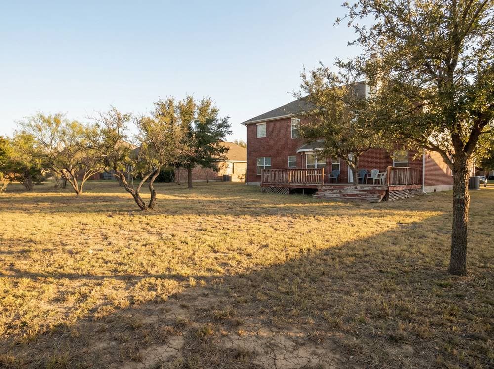 Before: Minimalist Paradise