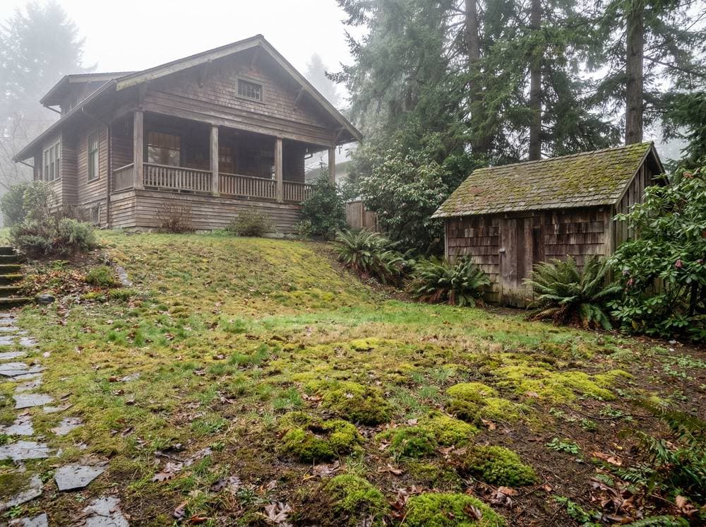 Before: English Garden Charm