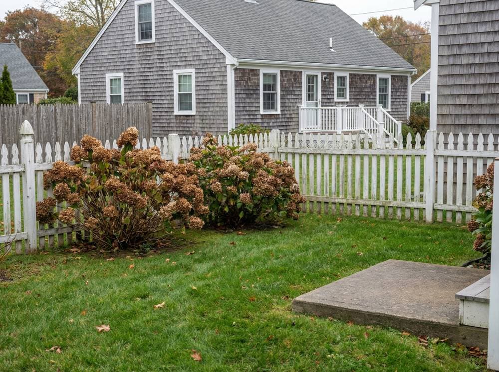 Before: Perfect Party Space